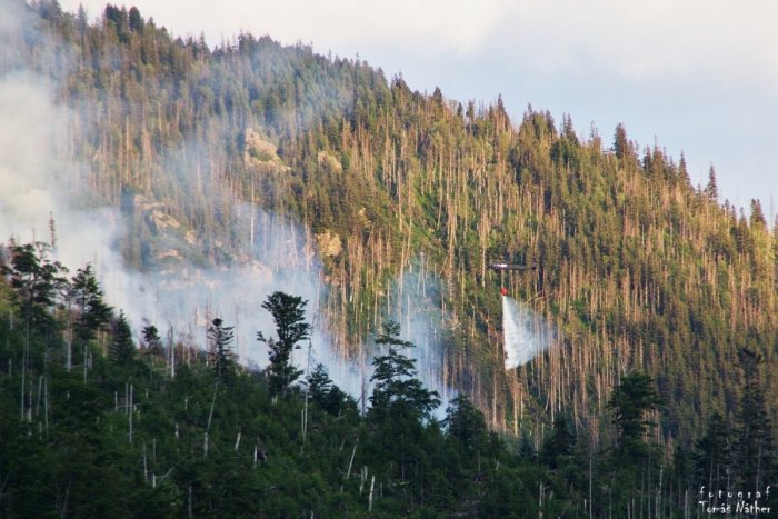 Ilustračný obrázok k článku Požiar pri Bystrej rozdúchal oheň medzi ministerstvom a lesníkmi