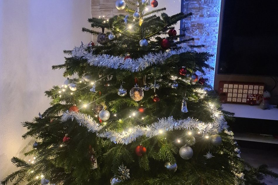 V OBRAZOCH: Brezňania sa pochválili krásnymi vianočnými stromčekmi